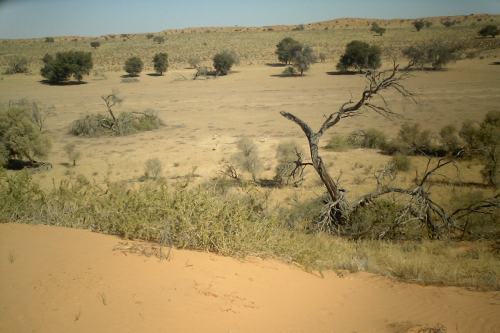 Kgalagadi-Tenten (1)